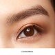 Day to Night Lashes Smokey Eye Mascara & No Smudge Waterproof Mascara Duo
